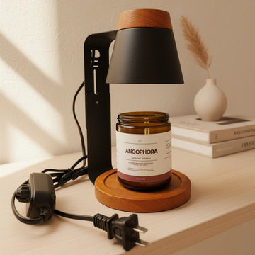 Luxury Candle Lamp With 2 Coconut and Beeswax Scented Candle and 2 Bulb
